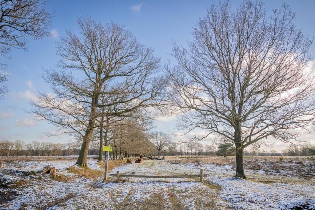 Leva - Logeren In Drenthe Villa Doldersum Exteriör bild