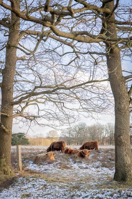 Leva - Logeren In Drenthe Villa Doldersum Exteriör bild