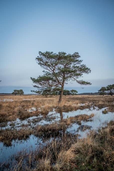 Leva - Logeren In Drenthe Villa Doldersum Exteriör bild