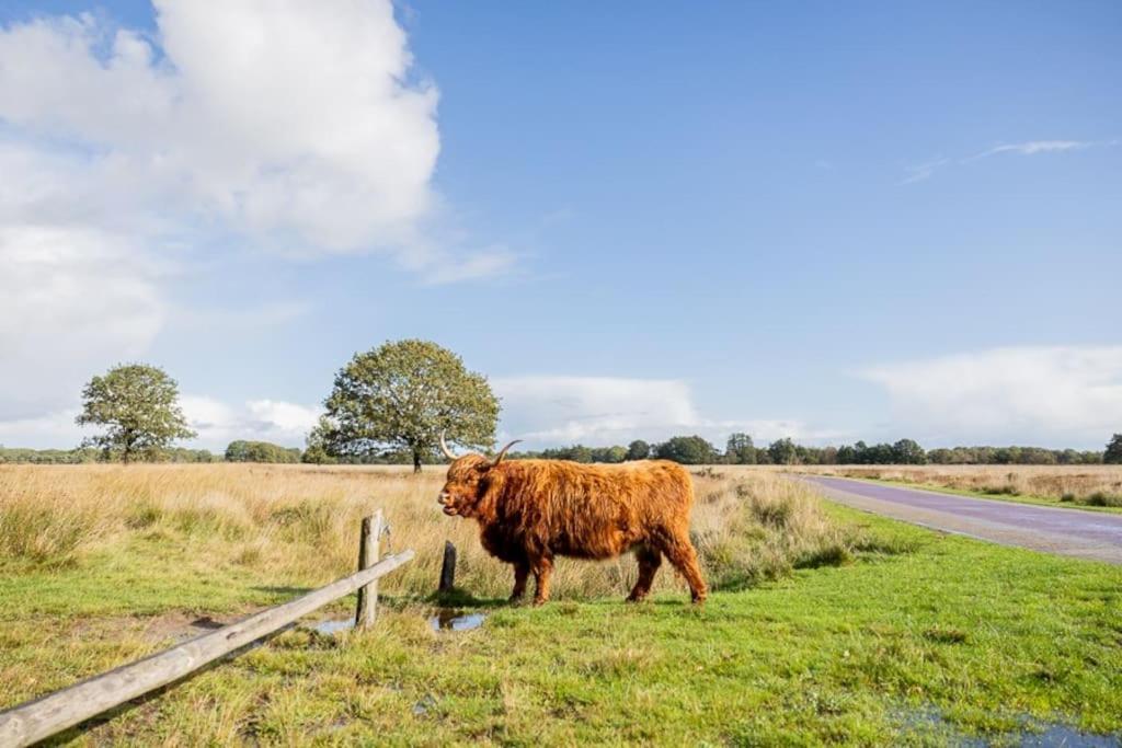 Leva - Logeren In Drenthe Villa Doldersum Exteriör bild